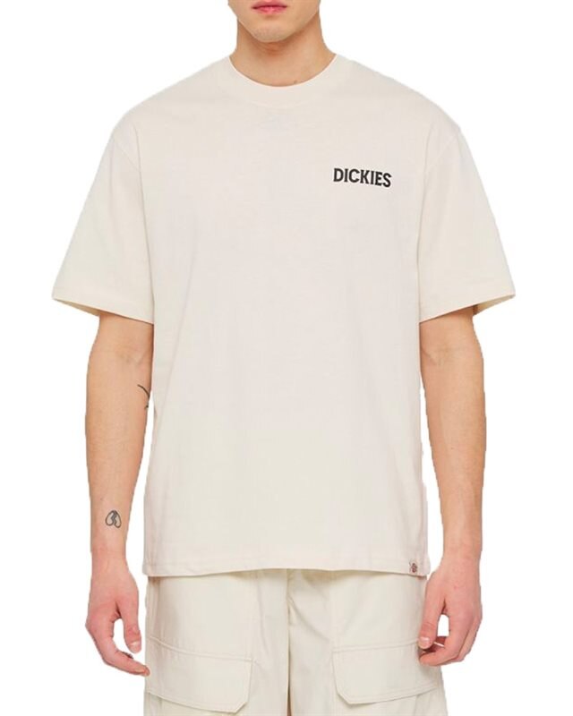 Dickies Beach Tee SS (DK0A4YRDF90)