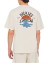 Dickies Beach Tee SS (DK0A4YRDF90)