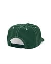 Polar Skate Co Earl Cap (PSC-SU24-61)