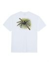 Polar Skate Co Green Spider Tee (PSC-F24-25)